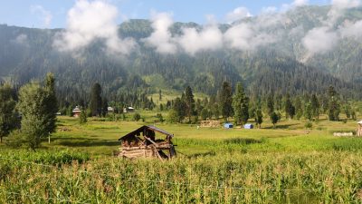 2005 Kashmir Earthquake