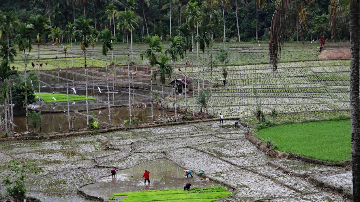 2009 Sumatra Earthquakes Indonesia