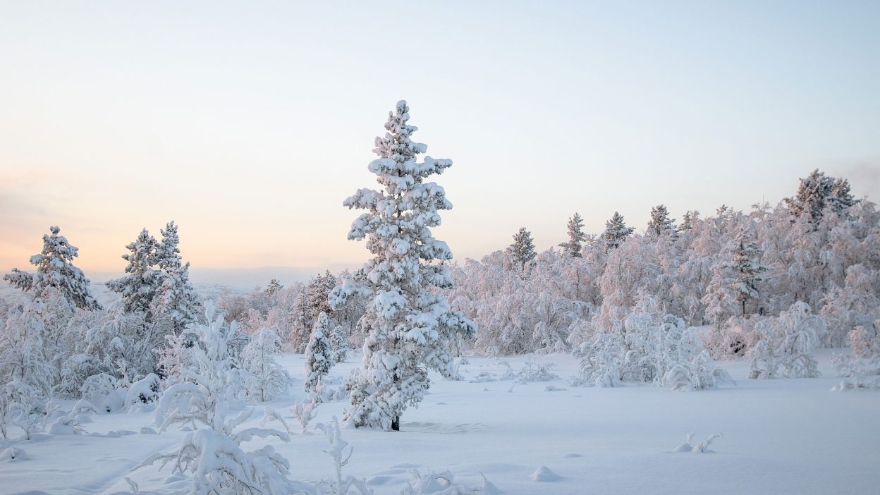 2021 North American Winter Storm