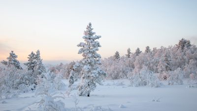 2021 North American Winter Storm