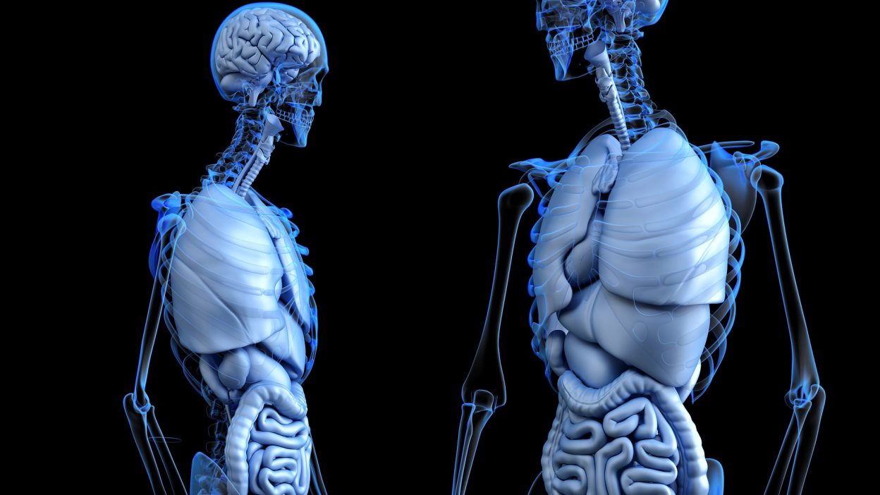 The Human Body's 50+ Mind-Blowing Facts You Never Knew